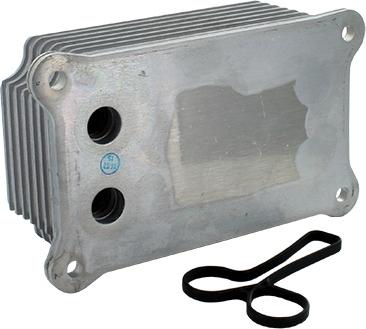 Fispa 590041 - Radiatore olio, Olio motore www.autoricambi360.it