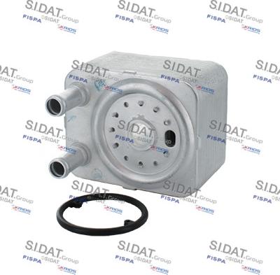 Fispa 590006 - Radiatore olio, Olio motore www.autoricambi360.it