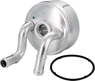 Fispa 590007 - Radiatore olio, Cambio automatico www.autoricambi360.it