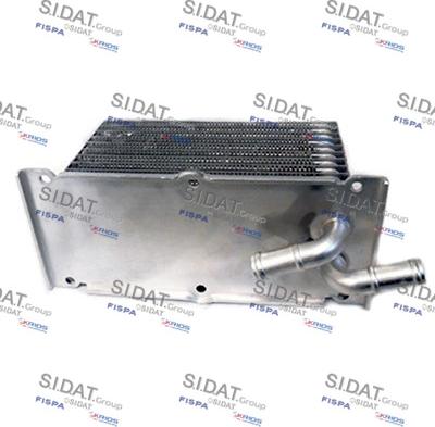 Fispa 590084 - Radiatore olio, Olio motore www.autoricambi360.it