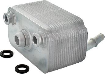 Fispa 590031 - Radiatore olio, Cambio automatico www.autoricambi360.it