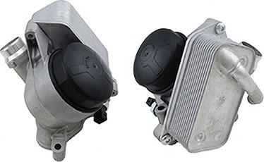 Fispa 590029C - Radiatore olio, Olio motore www.autoricambi360.it
