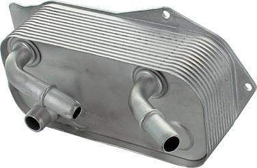Fispa 590254 - Radiatore olio, Olio motore www.autoricambi360.it