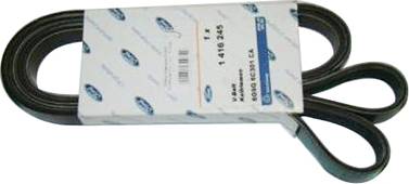 FORD 1416245 - Cinghia Poly-V www.autoricambi360.it
