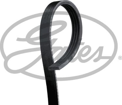 Gates K040338RPM - Cinghia Poly-V www.autoricambi360.it