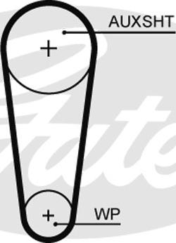 Gates 81S5M10 - Cinghia dentata www.autoricambi360.it