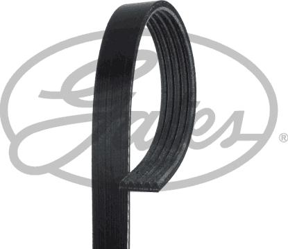 Gates 5PK1683 - Cinghia Poly-V www.autoricambi360.it