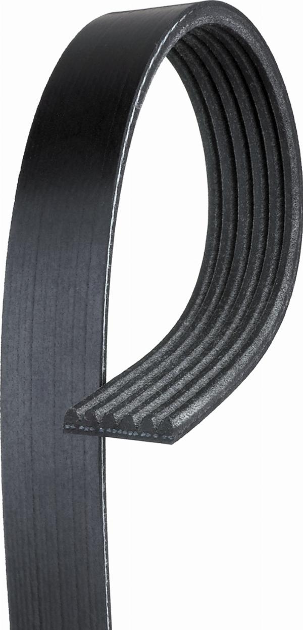 Gates 6PK1560 - Cinghia Poly-V www.autoricambi360.it