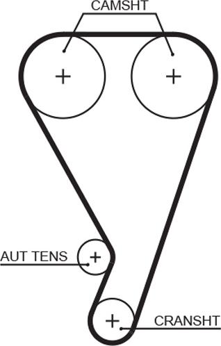 Gates T923 - Cinghia dentata www.autoricambi360.it