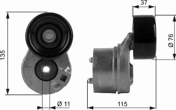 Gates T38431 - Tendicinghia, Cinghia Poly-V www.autoricambi360.it