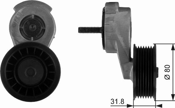 Gates T38116 - Tendicinghia, Cinghia Poly-V www.autoricambi360.it