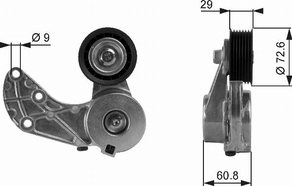Gates T38317 - Tendicinghia, Cinghia Poly-V www.autoricambi360.it