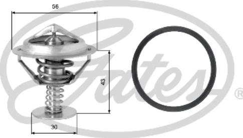 Gates TH05377G1 - Termostato, Refrigerante www.autoricambi360.it