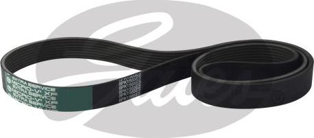GATES 8PK1565ES - Cinghia Poly-V www.autoricambi360.it
