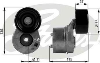 GATES 38431 - Tendicinghia, Cinghia Poly-V www.autoricambi360.it