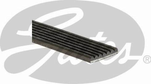 GATES 7PK1856RPM - Cinghia Poly-V www.autoricambi360.it