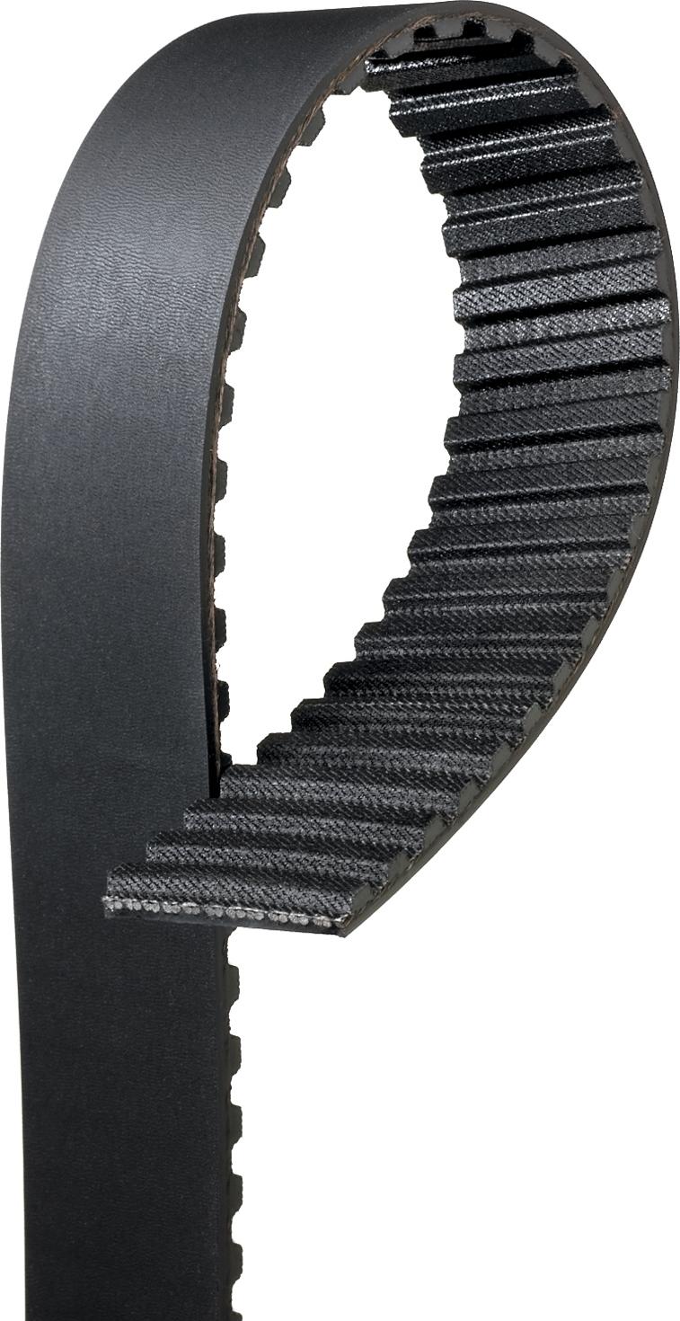 Gates T1565 - Cinghia dentata www.autoricambi360.it