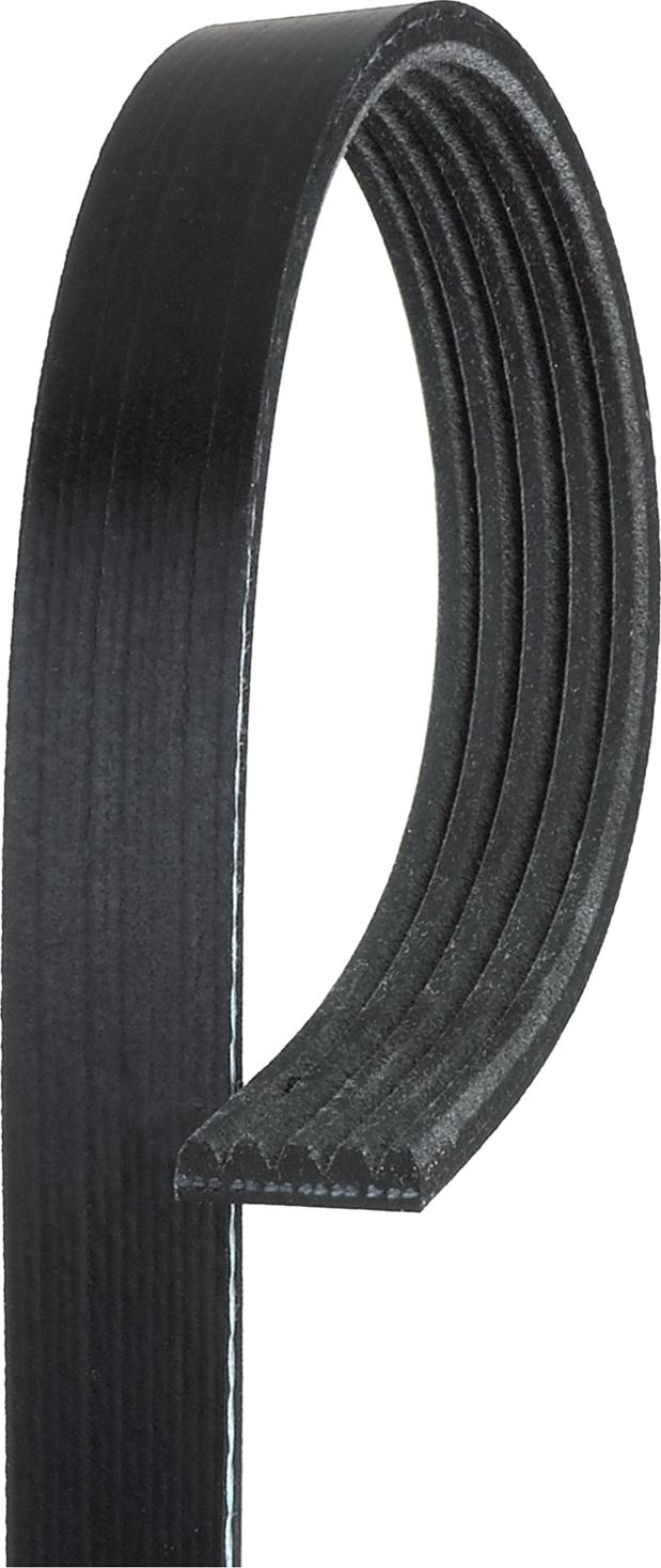 Gates K050446 - Cinghia Poly-V www.autoricambi360.it