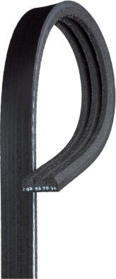 Gates K030231 - Cinghia Poly-V www.autoricambi360.it