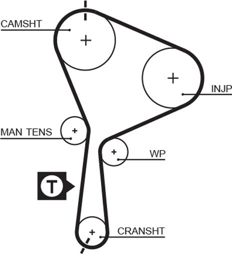 GATES T1558 - Cinghia dentata www.autoricambi360.it