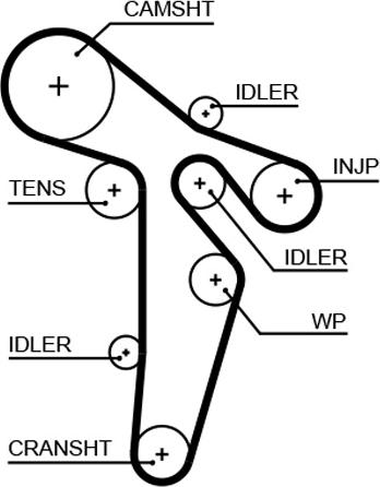 GATES T342 - Cinghia dentata www.autoricambi360.it