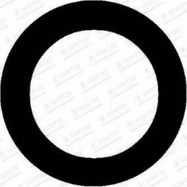 Goetze 50-030769-00 - Guarnizione, Collettore aspirazione www.autoricambi360.it