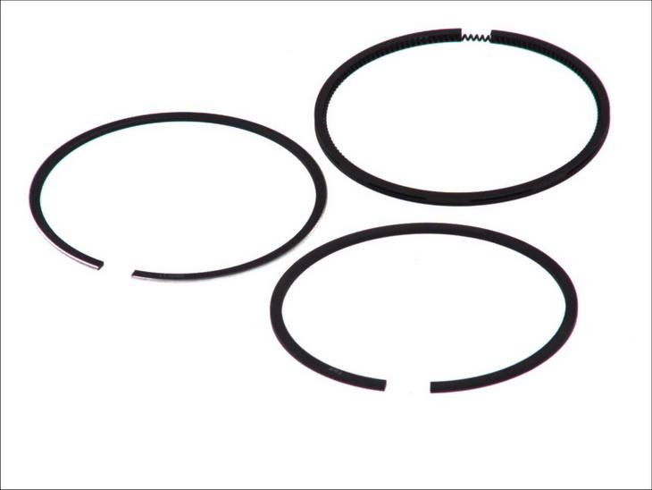 Goetze 08-961800-00 - Kit fasce elastiche www.autoricambi360.it
