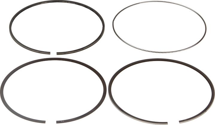 Goetze 08-439600-00 - Kit fasce elastiche www.autoricambi360.it