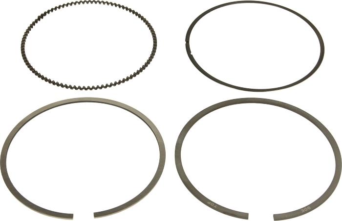 Goetze 08-429900-00 - Kit fasce elastiche www.autoricambi360.it