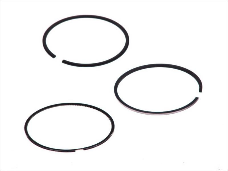 Goetze 08-421800-00 - Kit fasce elastiche www.autoricambi360.it
