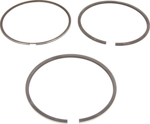 Goetze 08-421800-10 - Kit fasce elastiche www.autoricambi360.it