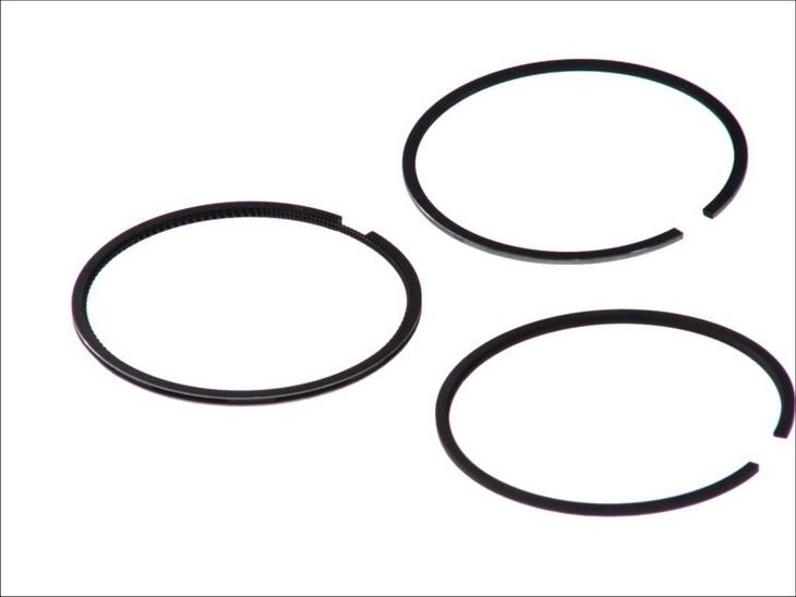 Goetze 08-109500-00 - Kit fasce elastiche www.autoricambi360.it