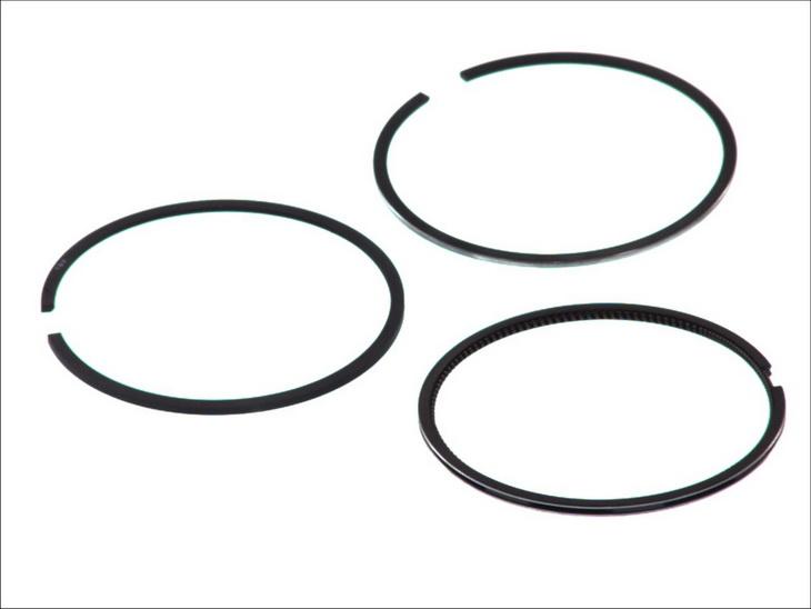 Goetze 08-109507-00 - Kit fasce elastiche www.autoricambi360.it