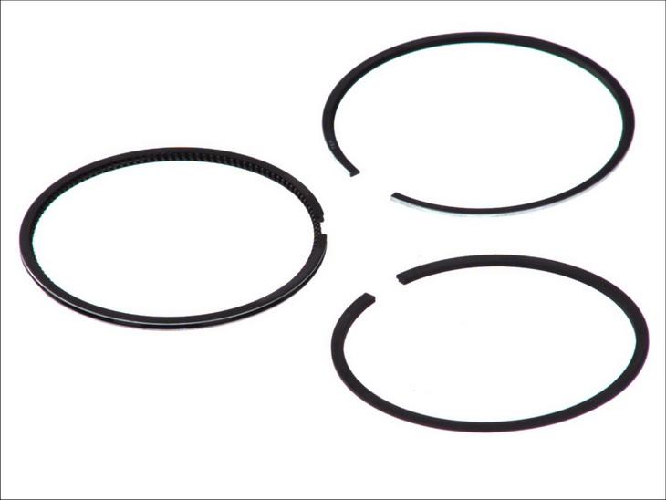 Goetze 08-109700-00 - Kit fasce elastiche www.autoricambi360.it