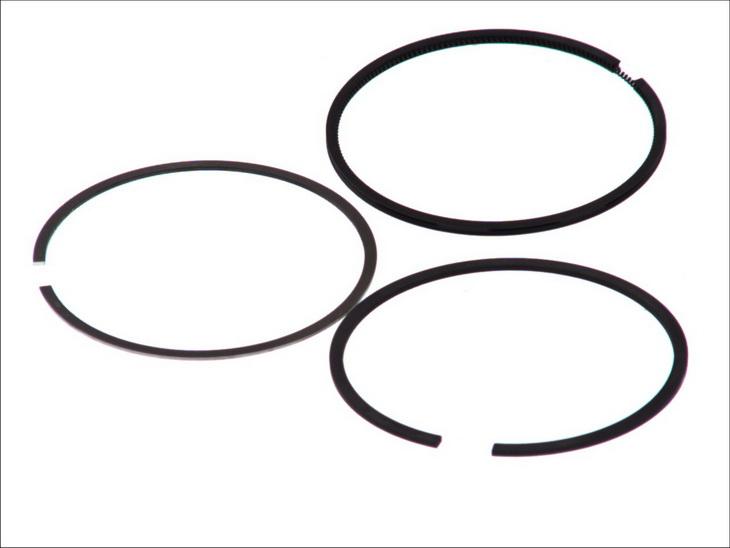 Goetze 08-103100-00 - Kit fasce elastiche www.autoricambi360.it