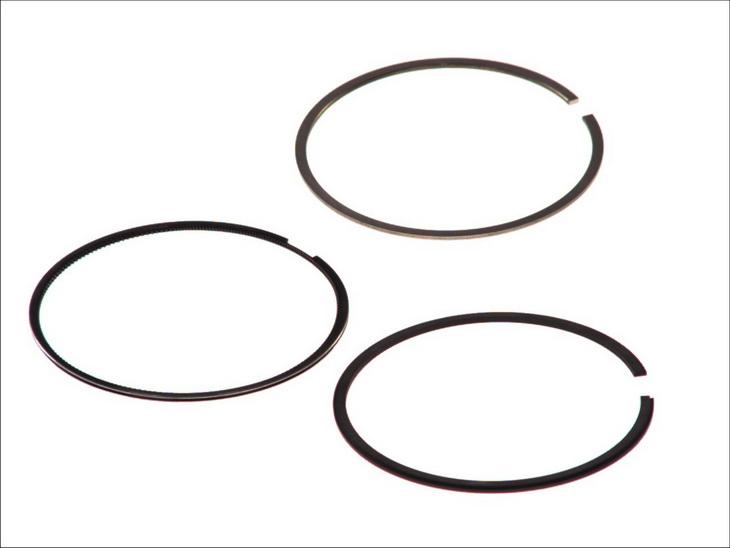Goetze 08-115900-00 - Kit fasce elastiche www.autoricambi360.it