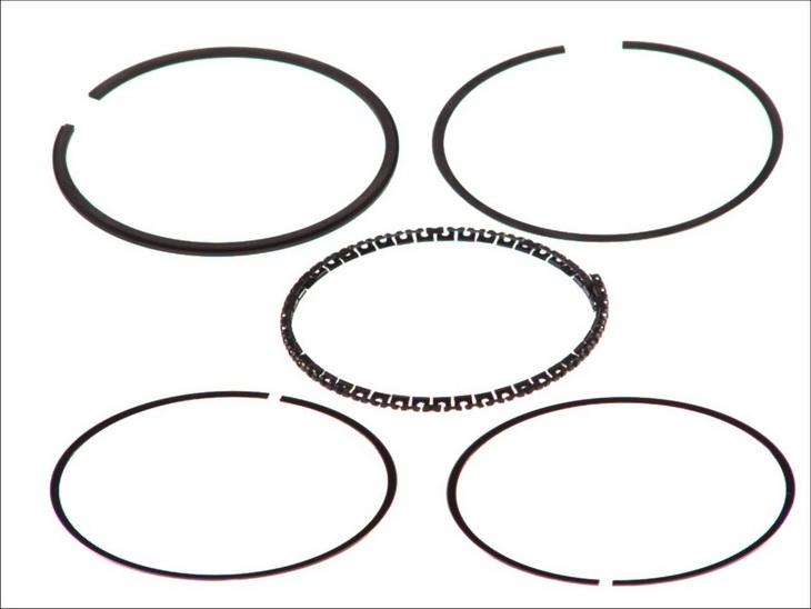 Goetze 08-133200-10 - Kit fasce elastiche www.autoricambi360.it