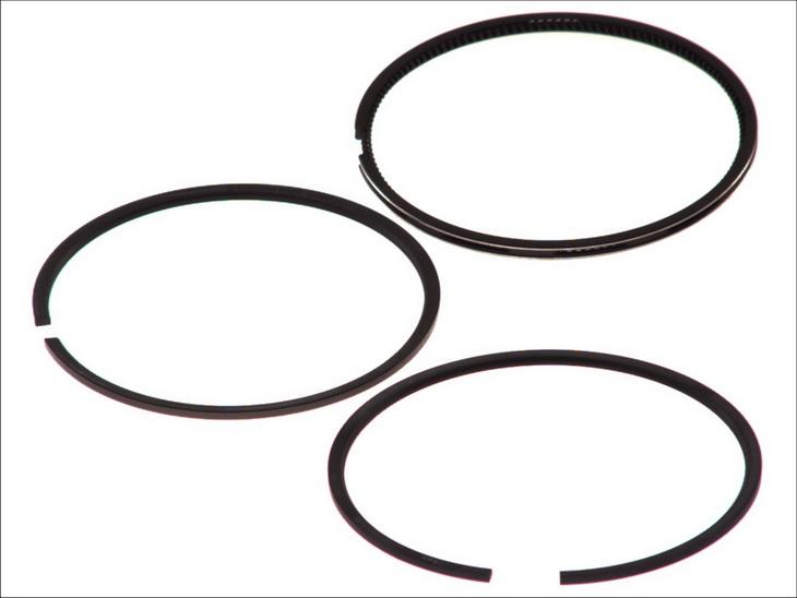 Goetze 08-123700-00 - Kit fasce elastiche www.autoricambi360.it