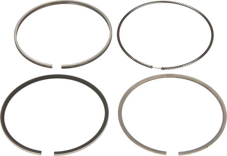 Goetze 08-849000-00 - Kit fasce elastiche www.autoricambi360.it