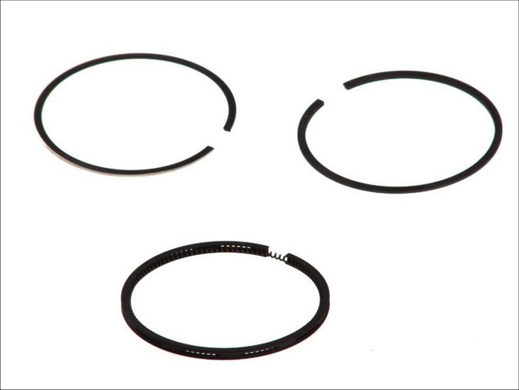 Goetze 08-203100-00 - Kit fasce elastiche www.autoricambi360.it