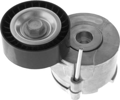 GOOM BT-0044 - Tendicinghia, Cinghia Poly-V www.autoricambi360.it