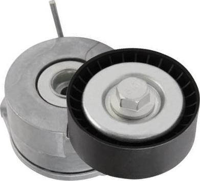 GOOM BT-0045 - Tendicinghia, Cinghia Poly-V www.autoricambi360.it