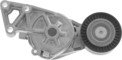 GOOM BT-0041 - Tendicinghia, Cinghia Poly-V www.autoricambi360.it