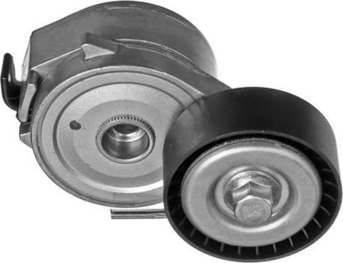 GOOM BT-0055 - Tendicinghia, Cinghia Poly-V www.autoricambi360.it
