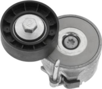 GOOM BT-0056 - Tendicinghia, Cinghia Poly-V www.autoricambi360.it
