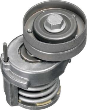 GOOM BT-0060 - Tendicinghia, Cinghia Poly-V www.autoricambi360.it