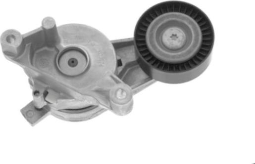 GOOM BT-0061 - Tendicinghia, Cinghia Poly-V www.autoricambi360.it
