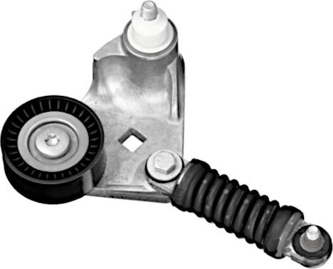 GOOM BT-0062 - Tendicinghia, Cinghia Poly-V www.autoricambi360.it
