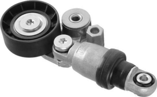 GOOM BT-0081 - Tendicinghia, Cinghia Poly-V www.autoricambi360.it