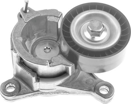 GOOM BT-0038 - Tendicinghia, Cinghia Poly-V www.autoricambi360.it